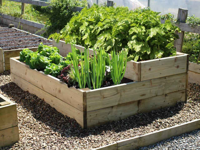 Ingenious Uses for Used Scaffold Boards in Cornwall - 7 